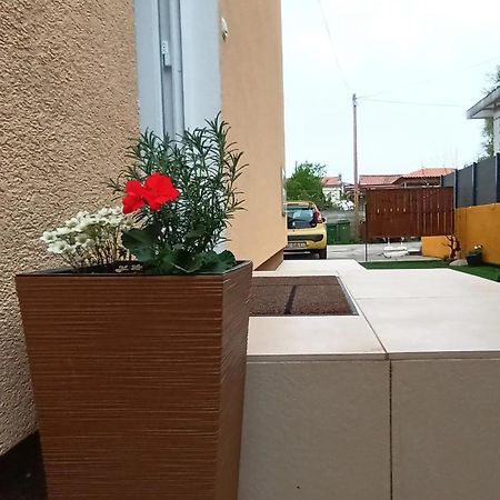 Apartman Sandra -Private Parking And Garden Zadar Exterior foto