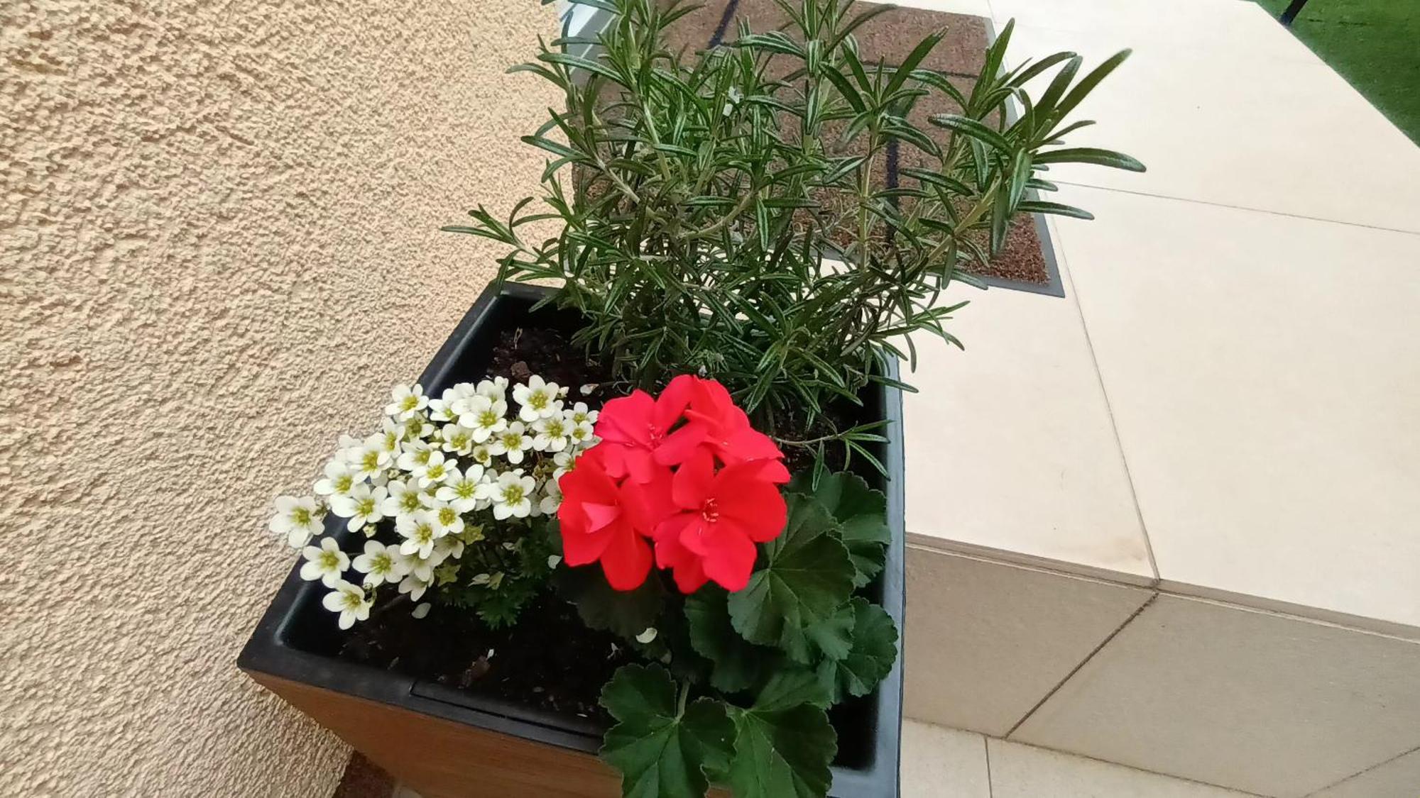 Apartman Sandra -Private Parking And Garden Zadar Exterior foto